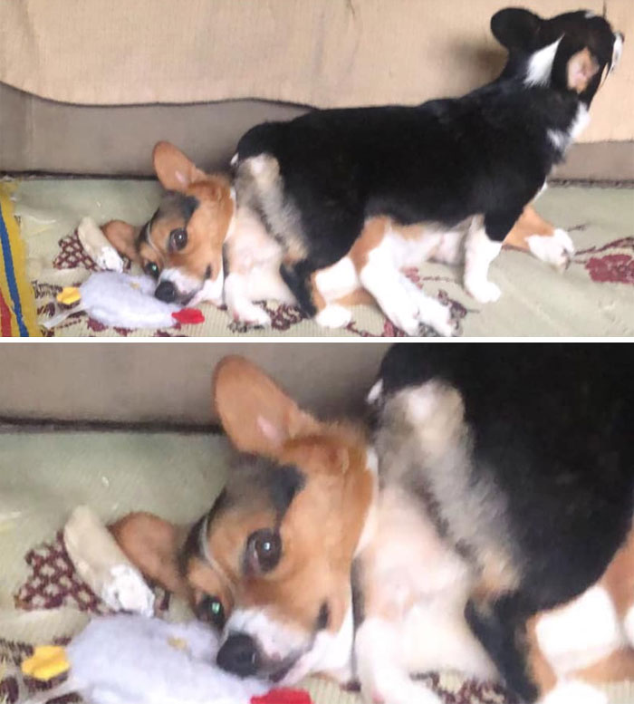 Having A Little Brother Is Great, They Said