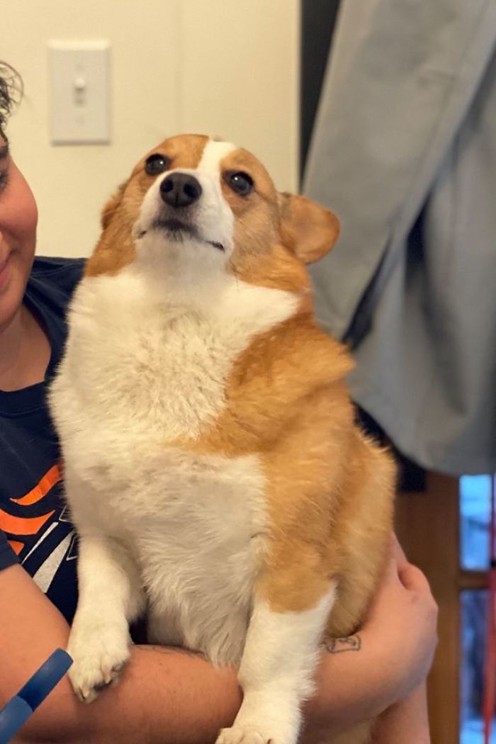 Louise Is Pretending To Hate Affection So People Find Her More Interesting