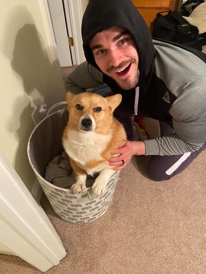 Pawdrey Hepburn Does Not Approve Of Being In The Laundry Basket