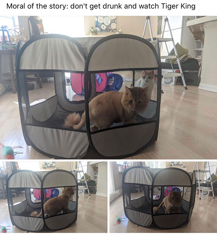 Coronavirus-Quarantine-Covid-19-Jokes