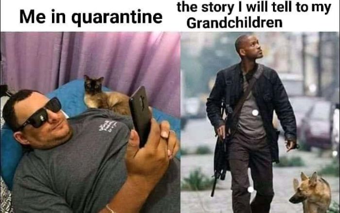 I Fought The Pandemic All Alone Till It Ended.