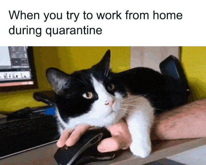 Coronavirus-Funny-Jokes