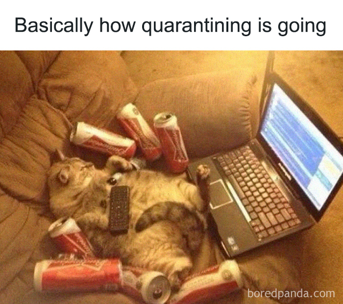 Coronavirus-Funny-Jokes