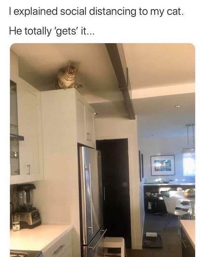 Coronavirus-Funny-Jokes