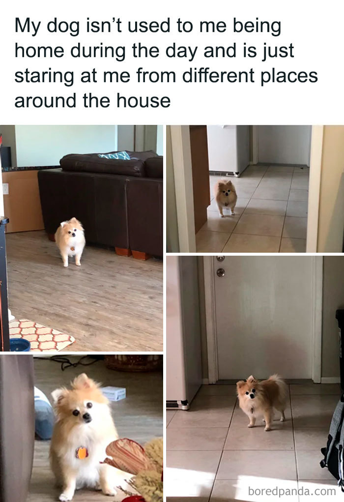 Coronavirus-Funny-Jokes