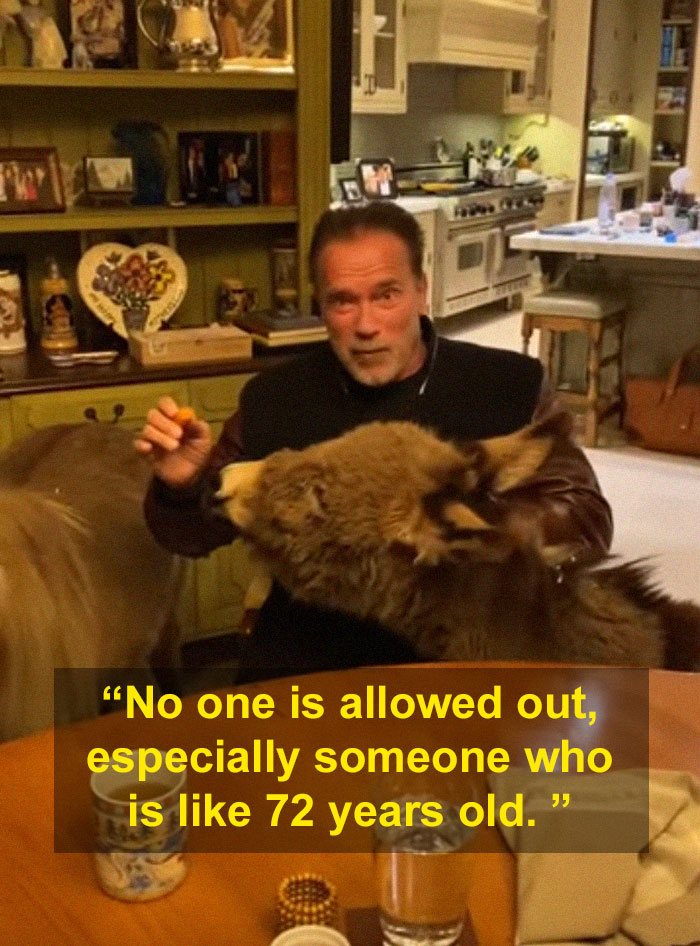 Arnold Schwarzenegger Is Self-Isolating At Home With His Mini Horse, Whiskey And Pet Donkey During Quarantine Arnold Schwarzenegger Is Self-Isolating At Home With His Mini Horse, Whiskey And Pet Donkey During Quarantine