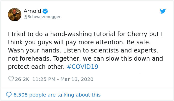 Arnold Schwarzenegger Is Self-Isolating At Home With His Mini Horse, Whiskey And Pet Donkey During Quarantine