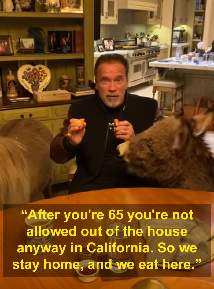 Arnold Schwarzenegger Is Self-Isolating At Home With His Mini Horse, Whiskey And Pet Donkey During Quarantine