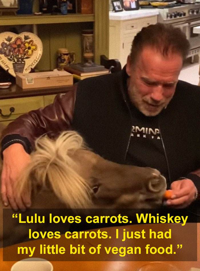 Arnold Schwarzenegger Is Self-Isolating At Home With His Mini Horse, Whiskey And Pet Donkey During Quarantine