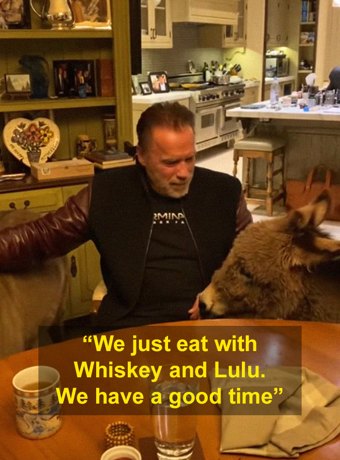 Arnold Schwarzenegger Is Self-Isolating At Home With His Mini Horse, Whiskey And Pet Donkey During Quarantine