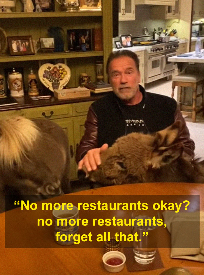 Arnold Schwarzenegger Is Self-Isolating At Home With His Mini Horse, Whiskey And Pet Donkey During Quarantine