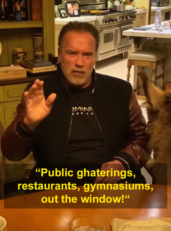 Arnold Schwarzenegger Is Self-Isolating At Home With His Mini Horse, Whiskey And Pet Donkey During Quarantine