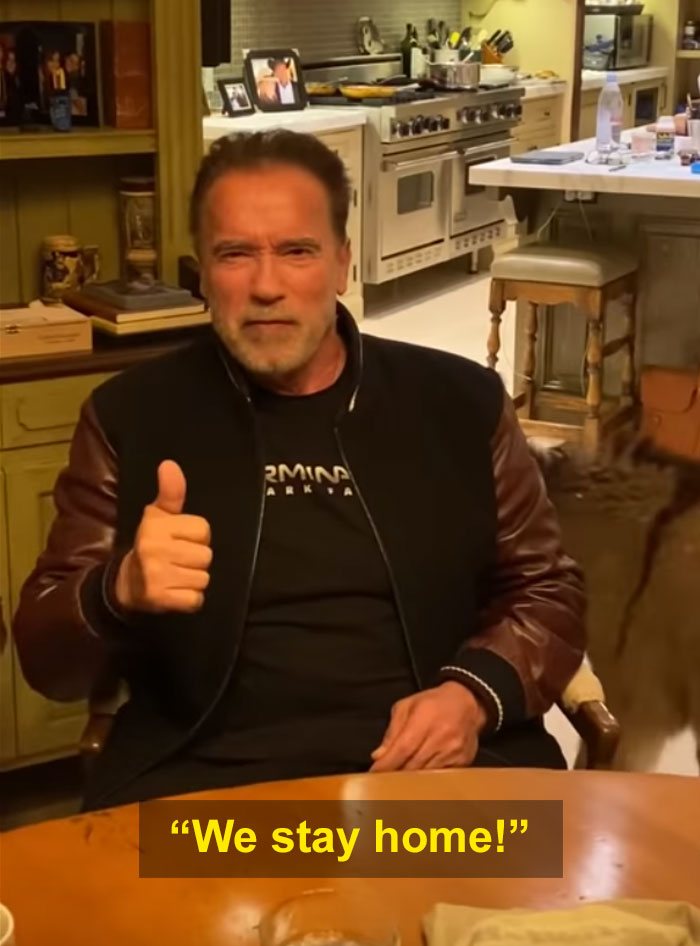 Arnold Schwarzenegger Is Self-Isolating At Home With His Mini Horse, Whiskey And Pet Donkey During Quarantine Arnold Schwarzenegger Is Self-Isolating At Home With His Mini Horse, Whiskey And Pet Donkey During Quarantine
