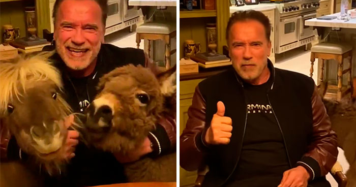 Arnold Schwarzenegger Is Self-Isolating At Home With His Mini Horse, Whiskey And Pet Donkey During Quarantine