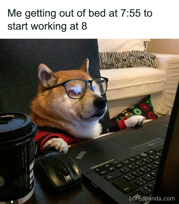 Coronavirus-Quarantine-Covid-19-Jokes