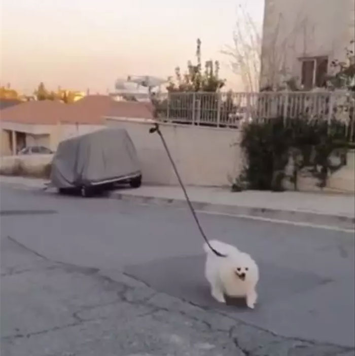 Coronavirus-Quarantine-Jokes