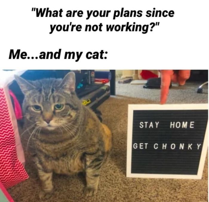 Coronavirus-Quarantine-Jokes