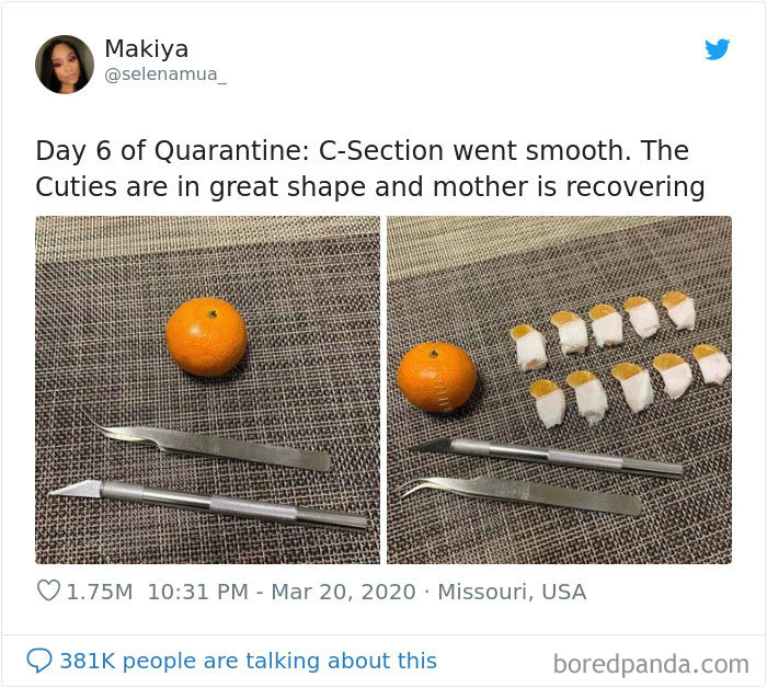 Coronavirus-Quarantine-Jokes