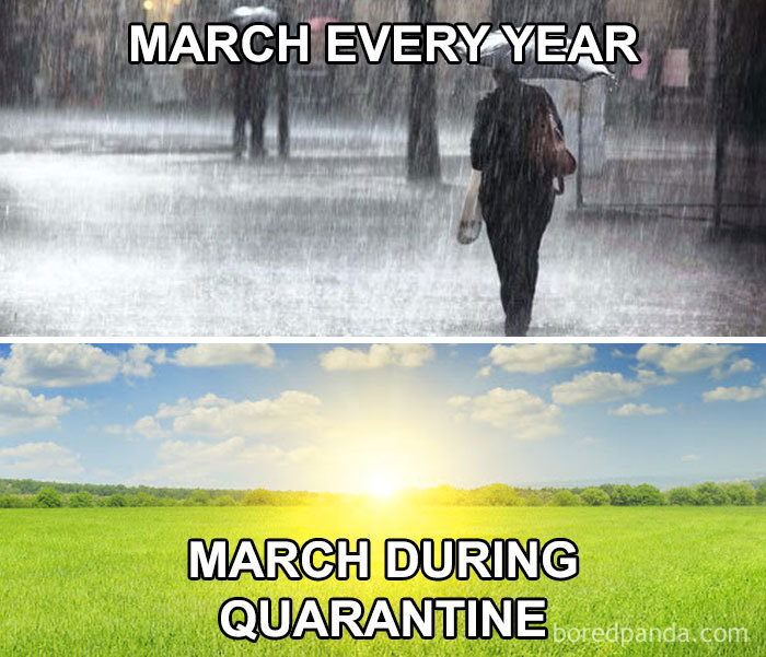 Coronavirus-Quarantine-Jokes