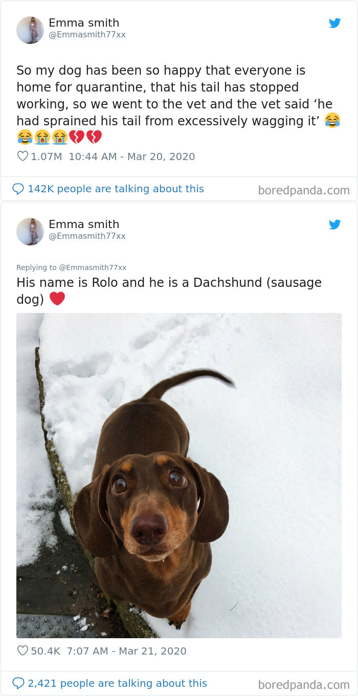 Coronavirus-Quarantine-Jokes