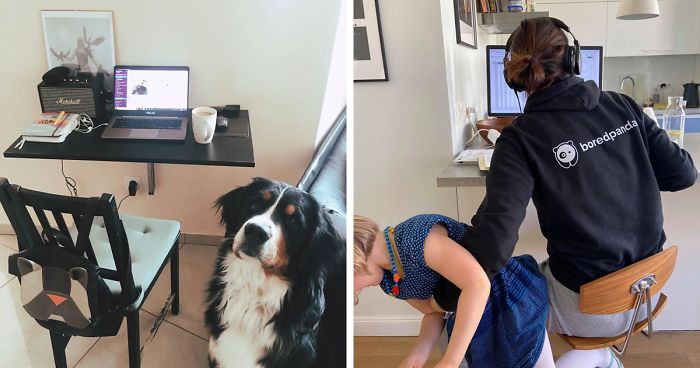 Hey, Pandas Who Are Now Forced To Work From Home, Post Your Workspace Setups