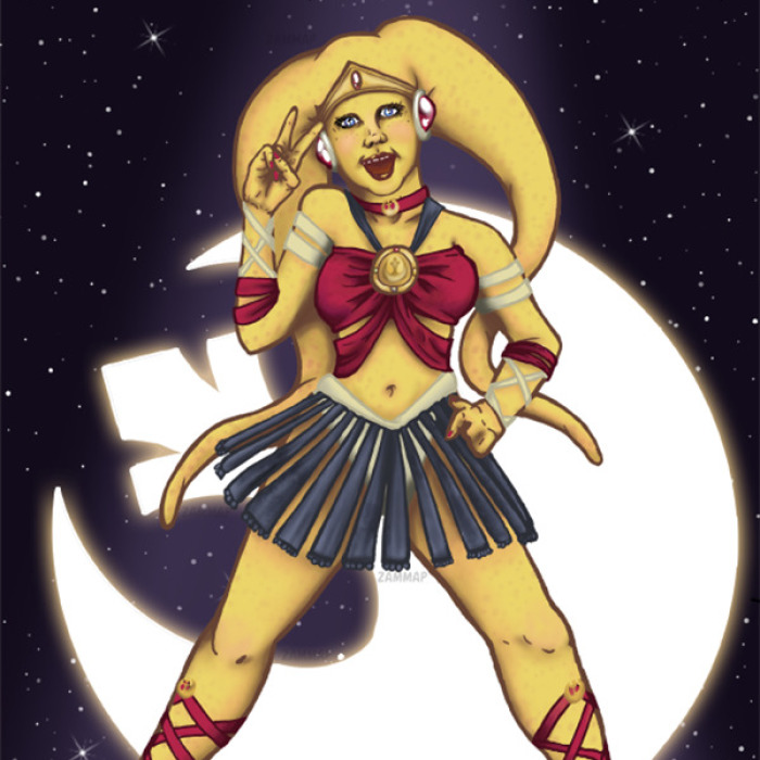 I Reimagined Sailor Scouts In The Star Wars Universe