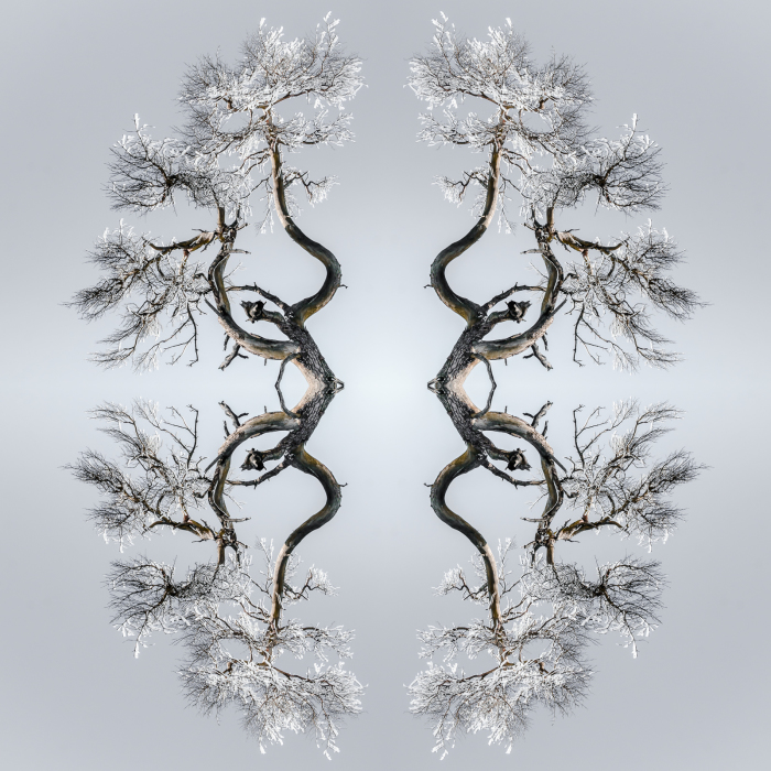 I Create Compositions Illustrating The Abstract Beauty Of Nature