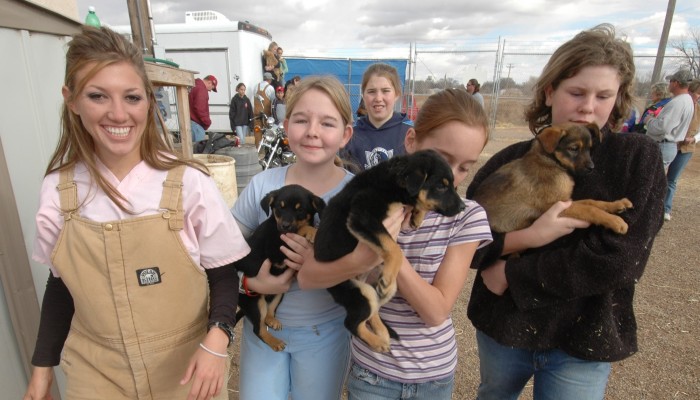 This Rescue Shelter Started By 4th Graders Has Saved 15,000 Dogs