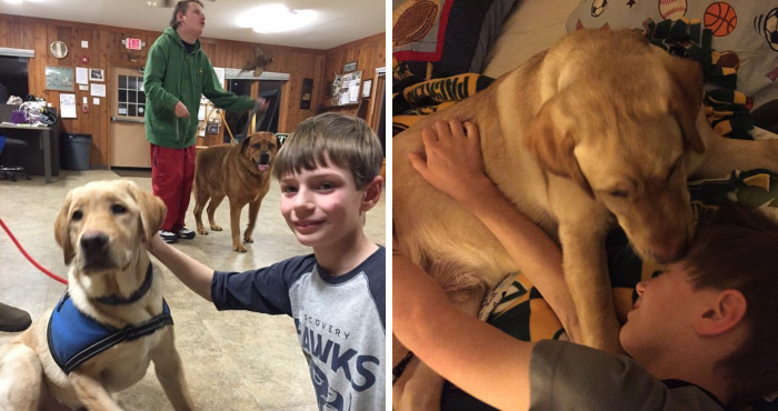 The Story Of My Service Doge, Chopper