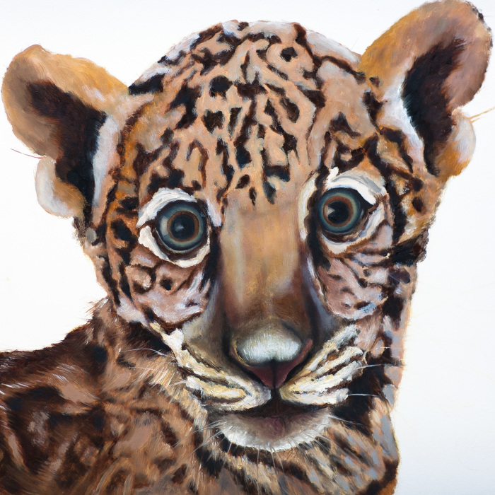 I Create These Wildlife Portrait Paintings