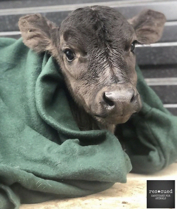 25th February 2020 Rebecca