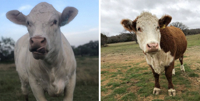 20th January 2020 Berniece And Bessy