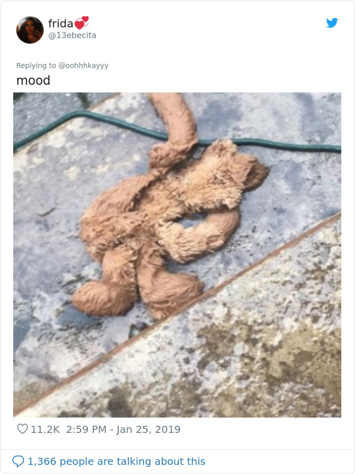 Wholesome Dad Finds Dog's 'Baby' Dying In The Rain, 'Hospitalizes' It And Sends Live Updates To The Family Wholesome Dad Finds Dog's 'Baby' Dying In The Rain, 'Hospitalizes' It And Sends Live Updates To The Family