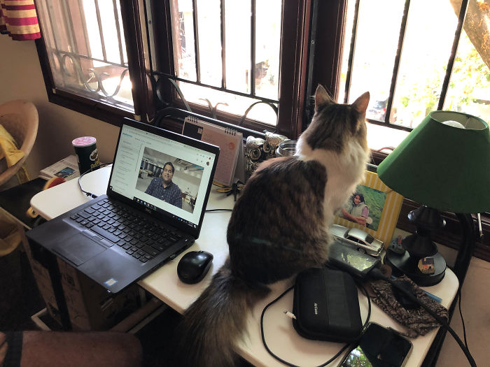 Too Many Working From One Desk!!! So Much For 'Social Distancing'! #quarantine