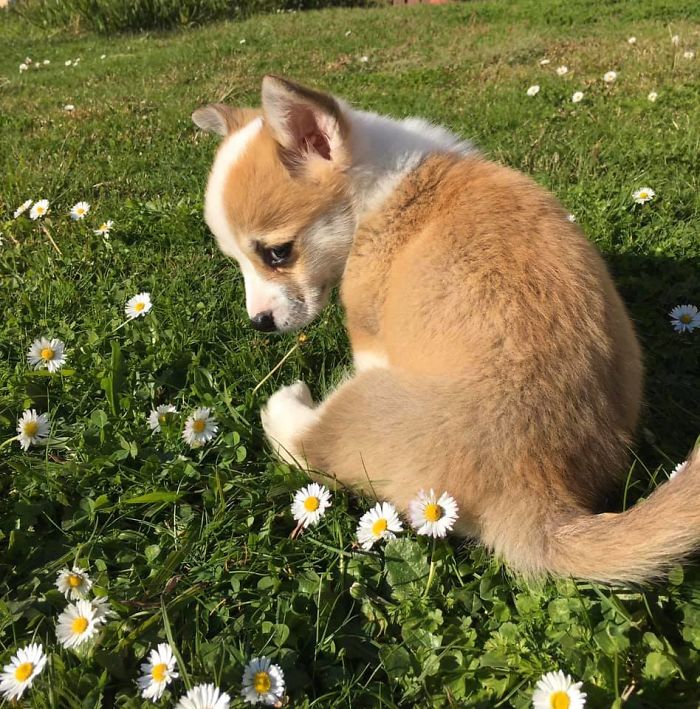 Baby Ivy Disapproves Of Play Time Ending