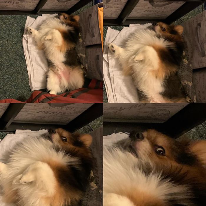 Is That... Is That A Bag Of Chips That I Hear???