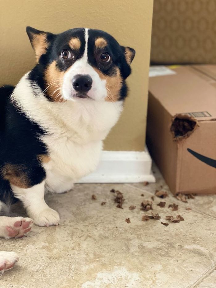 Theo Disapproving Of Getting Caught