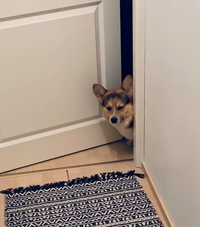 When It’s 2am, You Have To Wake Up At 6 And No One In The House Is Sleeping