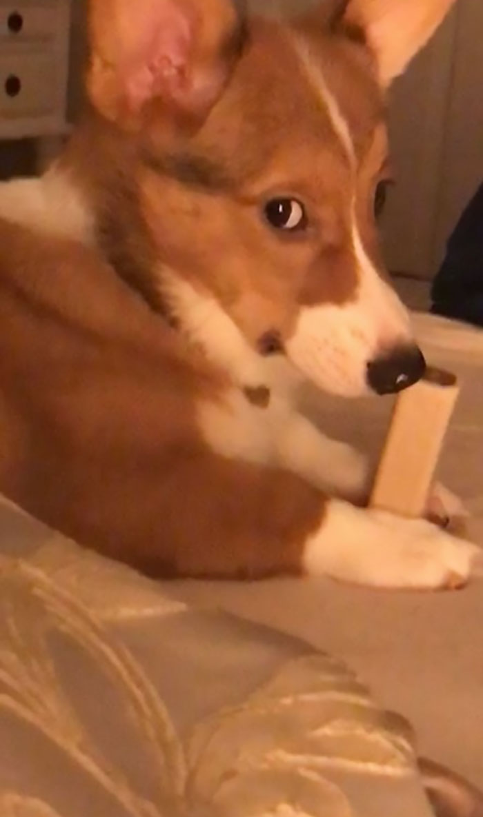 When You Say No Food On The Bed... Lol