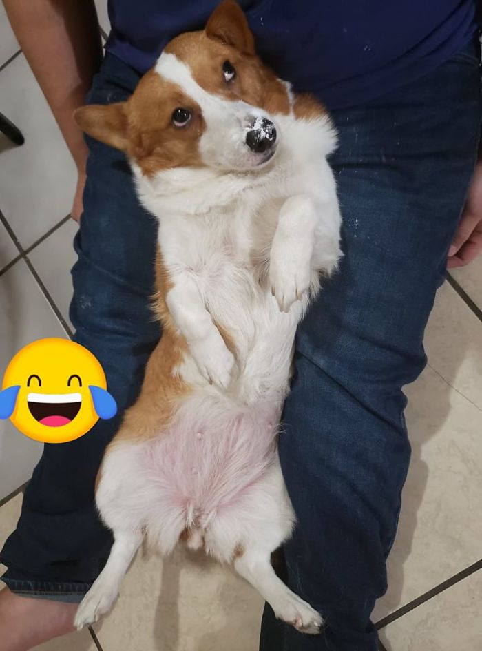 Lmao, Cherry Did An 80 Styles Party!!!