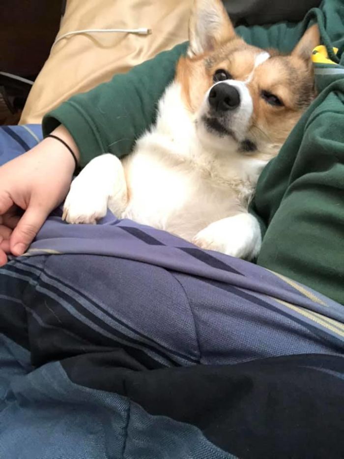 Tyrion Disapproves Of Having Morning Smotherings From Mumma