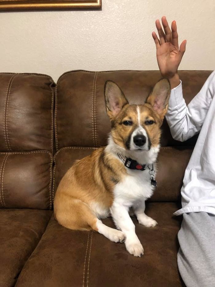 Ryu Obviously Disapproves Of Pictures