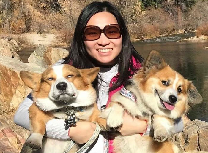 Existe un grupo de Facebook dedicado a poner fotos de Corgis que miran con desaprobación, y aquí tienes 30 de las mejores