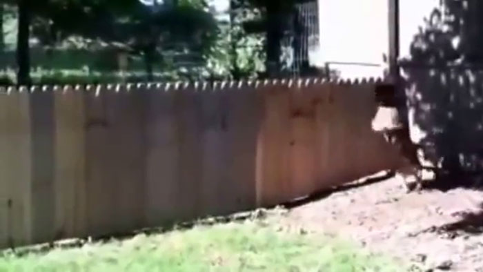 Hilarious Video Of A Man Showing Off His New Fence To Keep His Dog From Running Away Is Going Viral Again Hilarious Video Of A Man Showing Off His New Fence To Keep His Dog From Running Away Is Going Viral Again