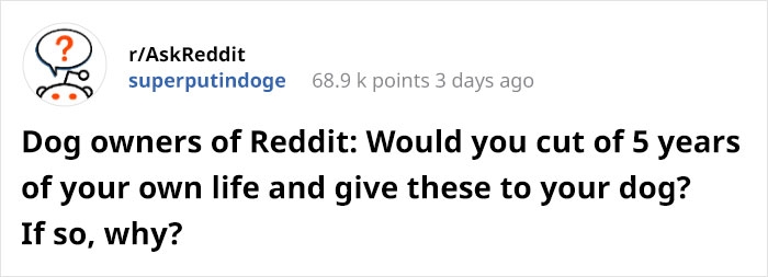 Someone Asks Whether Dog Owners Would Give 5 Years Of Their Life To Their Dog, And This Reply Goes Viral Someone Asks Whether Dog Owners Would Give 5 Years Of Their Life To Their Dog, And This Reply Goes Viral