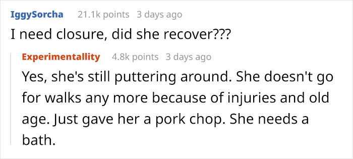 Someone Asks Whether Dog Owners Would Give 5 Years Of Their Life To Their Dog, And This Reply Goes Viral Someone Asks Whether Dog Owners Would Give 5 Years Of Their Life To Their Dog, And This Reply Goes Viral
