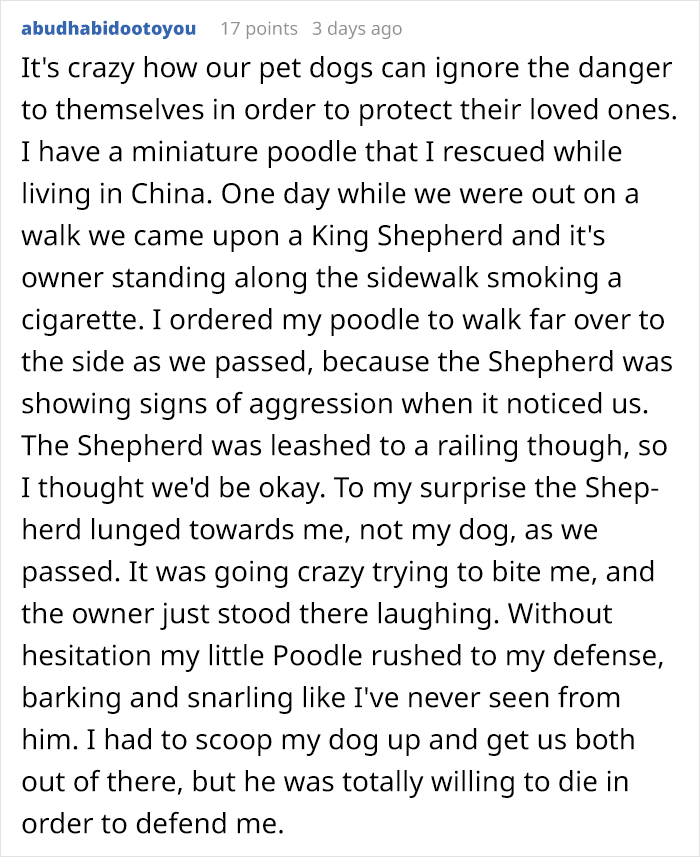 Someone Asks Whether Dog Owners Would Give 5 Years Of Their Life To Their Dog, And This Reply Goes Viral Someone Asks Whether Dog Owners Would Give 5 Years Of Their Life To Their Dog, And This Reply Goes Viral