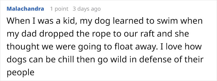 Someone Asks Whether Dog Owners Would Give 5 Years Of Their Life To Their Dog, And This Reply Goes Viral Someone Asks Whether Dog Owners Would Give 5 Years Of Their Life To Their Dog, And This Reply Goes Viral