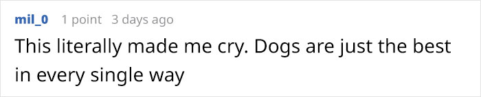Someone Asks Whether Dog Owners Would Give 5 Years Of Their Life To Their Dog, And This Reply Goes Viral