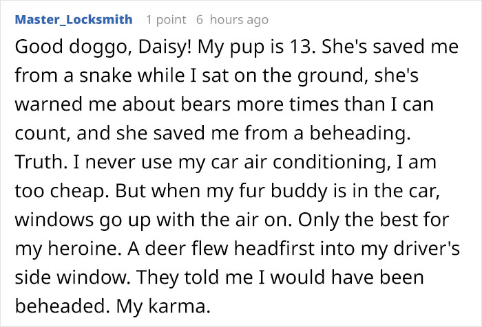 Someone Asks Whether Dog Owners Would Give 5 Years Of Their Life To Their Dog, And This Reply Goes Viral
